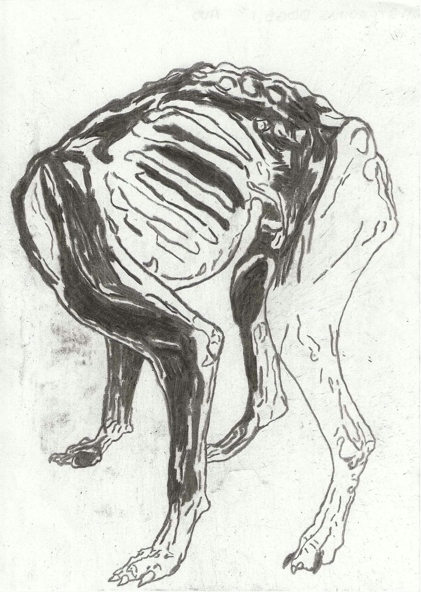 Onderzoek 94